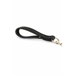 SublimLove Loveshop 42 Laisse Chaine Métal Dragonne
