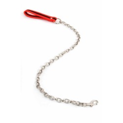 SublimLove Loveshop 42 Laisse Chaine Métal Dragonne