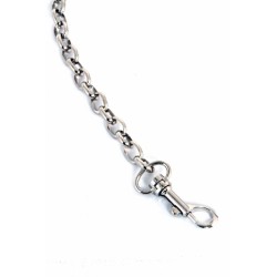 SublimLove Loveshop 42 Laisse Chaine Métal Dragonne