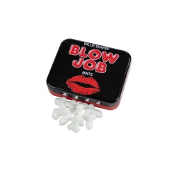 SublimLove Loveshop 42 Bonbons Pénis Menthe Forte