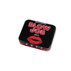 SublimLove Loveshop 42 Bonbons Pénis Menthe Forte